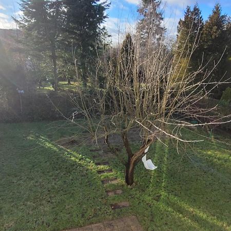 Apartament Formoza Gdynia Kültér fotó